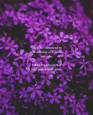 Image post by @yahoo on Instagram