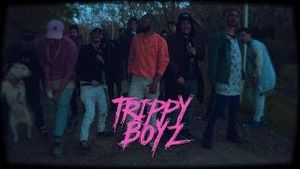 Video post by @trippyboyz on YouTube