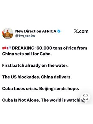 Image post by @cultura_movement on Instagram