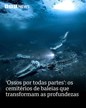 Image post by @bbcbrasil on Instagram