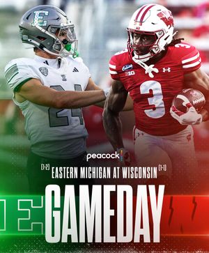 Image post by @rollbadgers on Instagram