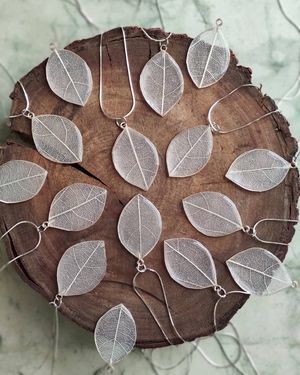 Image post by @leafyaffair on Instagram