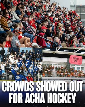 Image post by @hockeyhousepod on Instagram