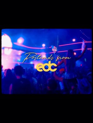 Image post by @edc_orlando on Instagram