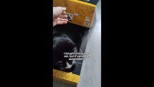 Video post by @reddit on YouTube