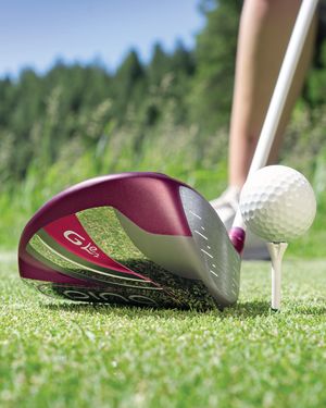 Image post by @pingtour on Instagram