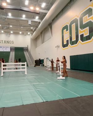 Image post by @wgicolorguard on Instagram