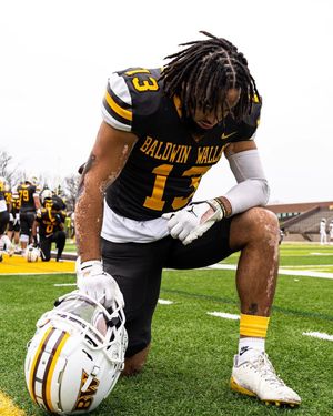 Image post by @dalmatian.dicc.returns on Instagram