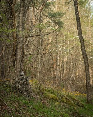 Image post by @realtreeoutdoors on Instagram