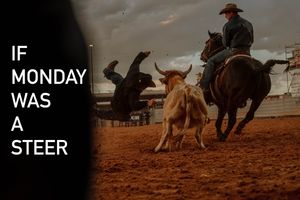 Image post by @cinchjeans on Instagram
