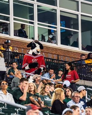 Image post by @charlotte49ers on Instagram
