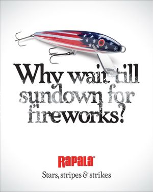 Image post by @rapalausa on Instagram