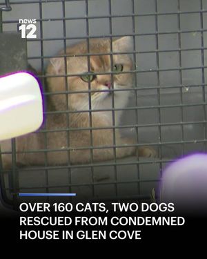 Image post by @news12li on Instagram