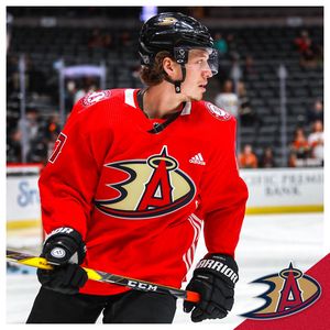 Image post by @anaheimducks on Instagram