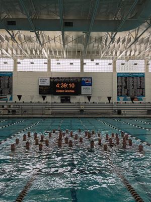 Image post by @oaklandswimdive on Instagram