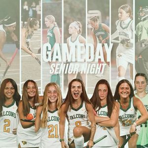 Image post by @fsufalconsfh on Instagram