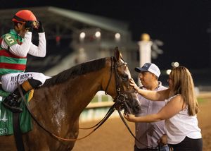 Image post by @breederscup on Instagram