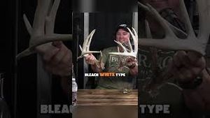 Video post by @huntrtube on YouTube