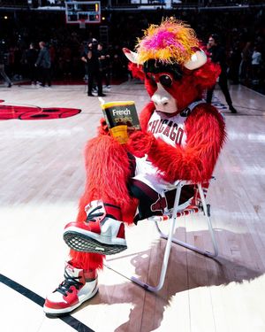 Image post by @bennythebull on Instagram