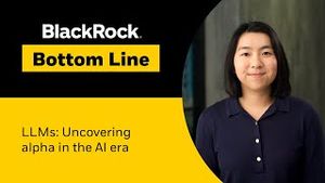 Video post by @blackrock on YouTube