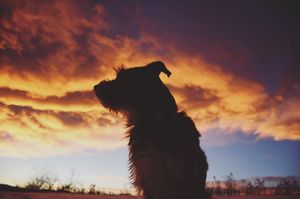 Image post by @klasakphoto on Instagram
