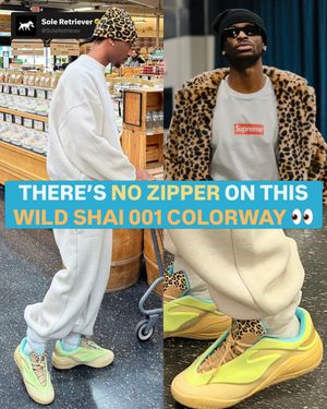 Image post by @soleretriever on Instagram