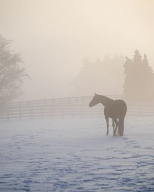 Image post by @coolmoreamerica on Instagram