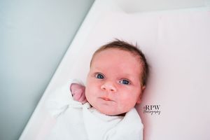 Image post by @rpwphotography_mi on Instagram