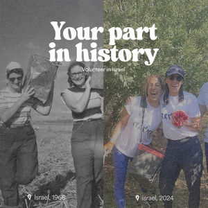 Image post by @birthrightisrael on Instagram