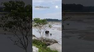 Video post by @accuweather on YouTube