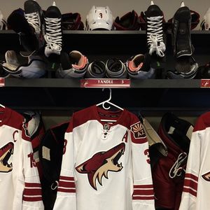 Image post by @arizonacoyotes on Instagram