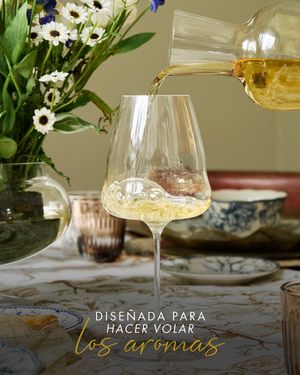 Image post by @riedelpartner_vnzla on Instagram