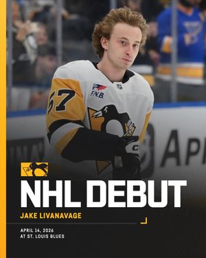 Image post by @penguins on Instagram