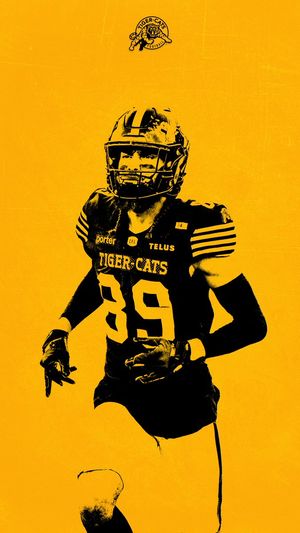 Image post by @Ticats on Twitter/X