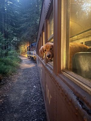 Image post by @skunktrain on Instagram