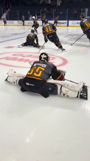 Video post by @chiwolves on TikTok