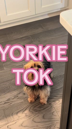 Video post by @maibrantesq on TikTok