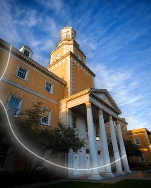 Image post by @unt on Instagram
