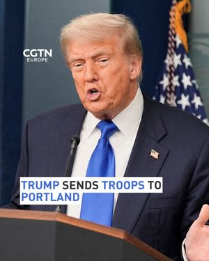 Image post by @cgtneurope on Instagram