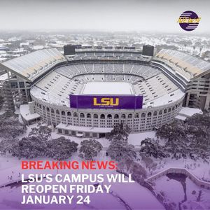 Image post by @lsutigertv on Instagram