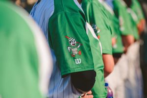 Image post by @GoWoodDucks on Twitter