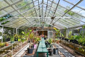 Image post by @usouthflorida on Instagram