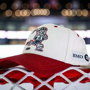 Image post by @rockfordicehogs on Instagram