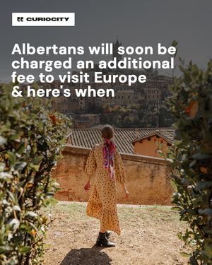 Image post by @curiocitycalgary on Instagram