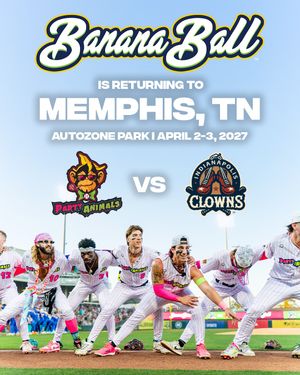 Image post by @memphisredbirds on Instagram