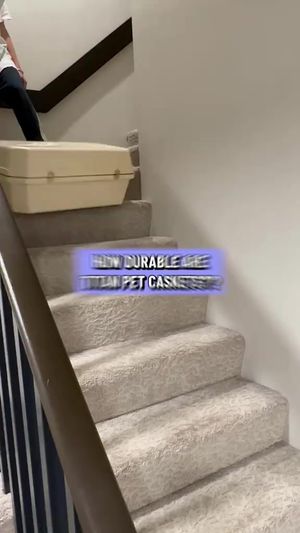 Video post by @670072360017675 on Facebook