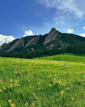 Image post by @cuboulderalumni on Instagram
