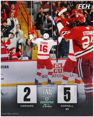 Image post by @everythingcollegehockey on Instagram
