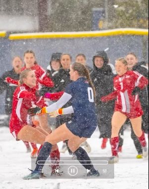 Image post by @shubigred on Instagram