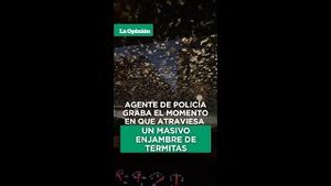 Video post by @laopinionla on YouTube